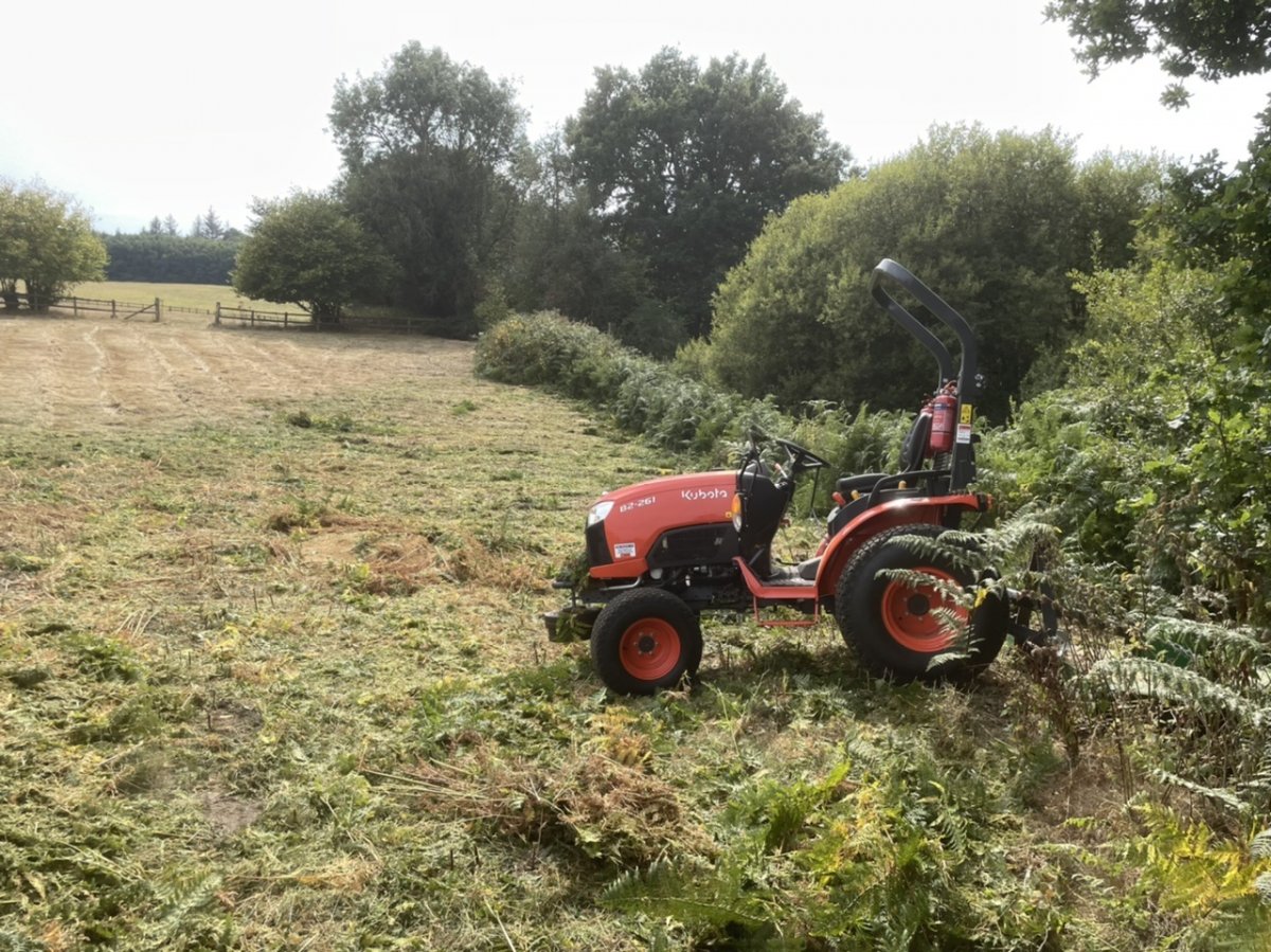 00D61759-0AAF-475B-A7C1-366D6A5F515E.jpeg