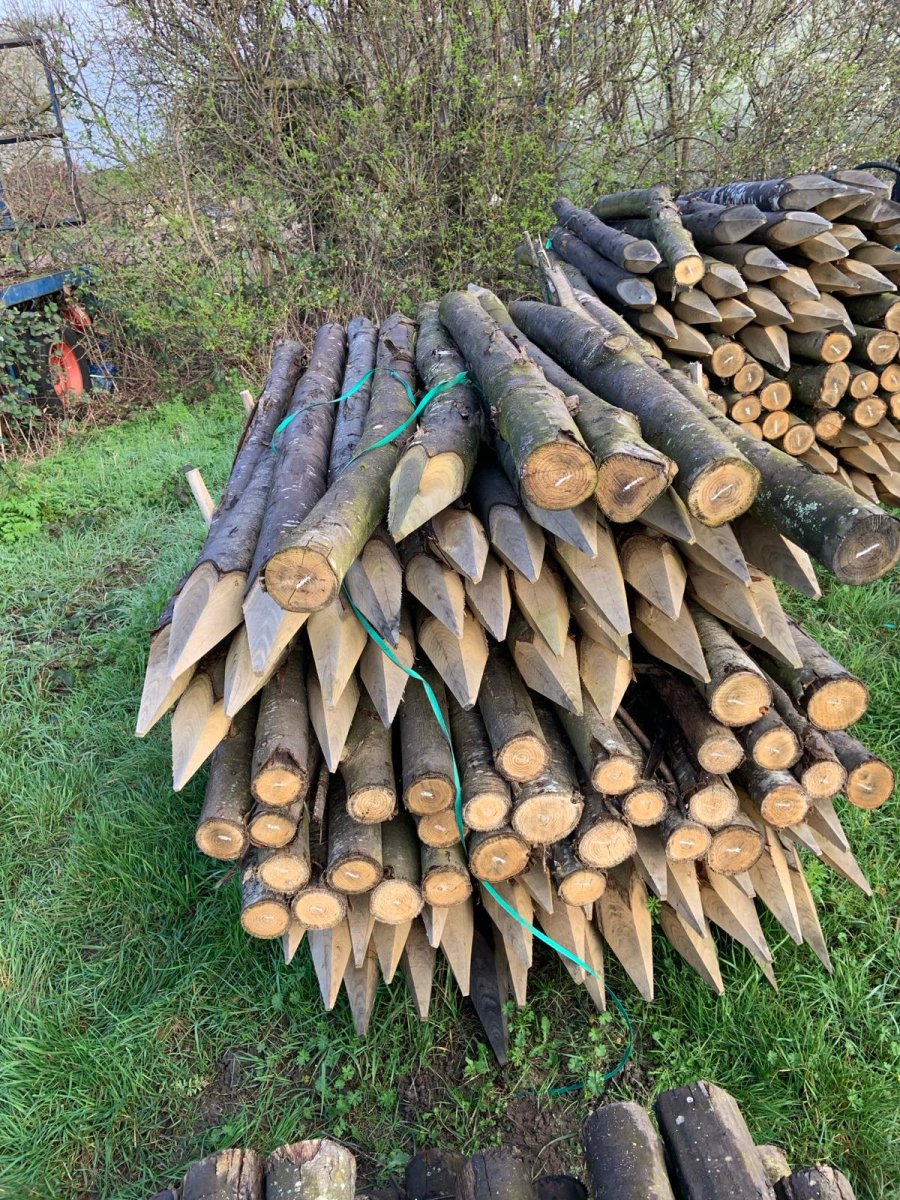 Chestnut Posts | Plant Talk - Plant Machinery & Construction Equipment ...