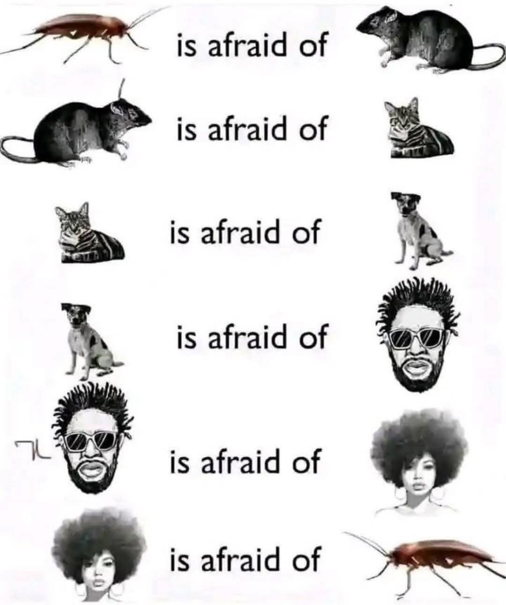 1000010157.jpg