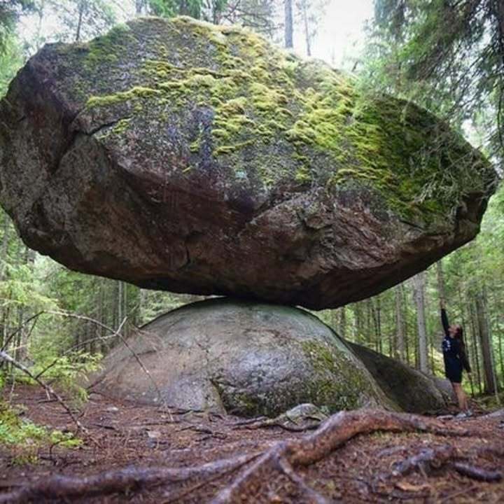 1000012529.jpg