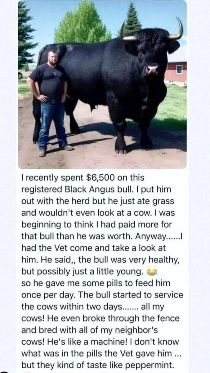 1000013594.jpg