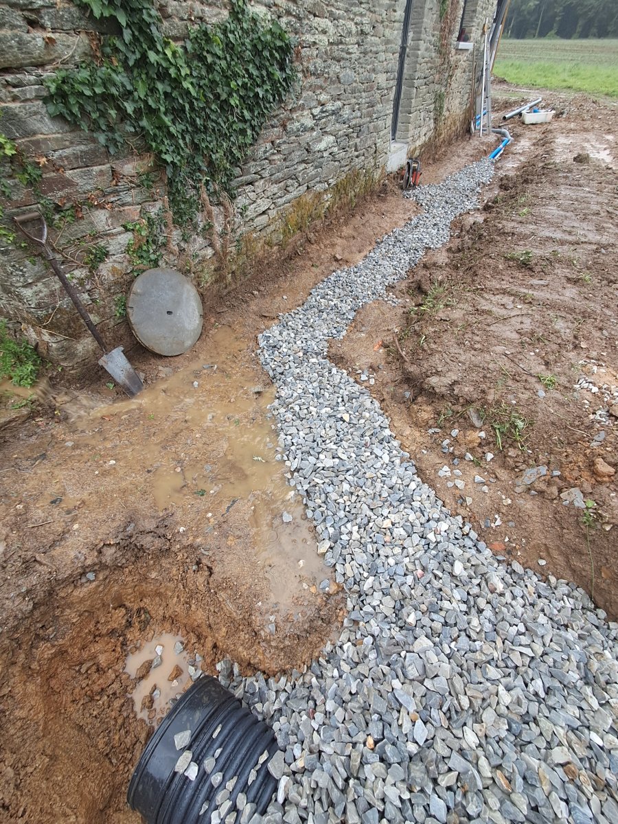 1000014701.jpg