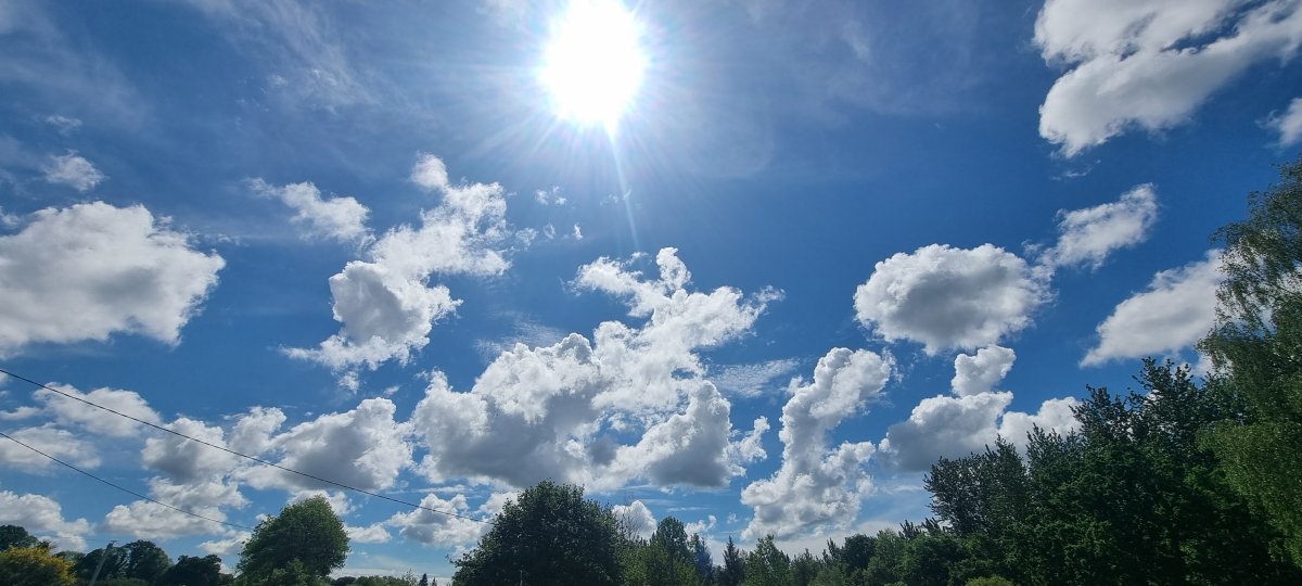 1000015700.jpg
