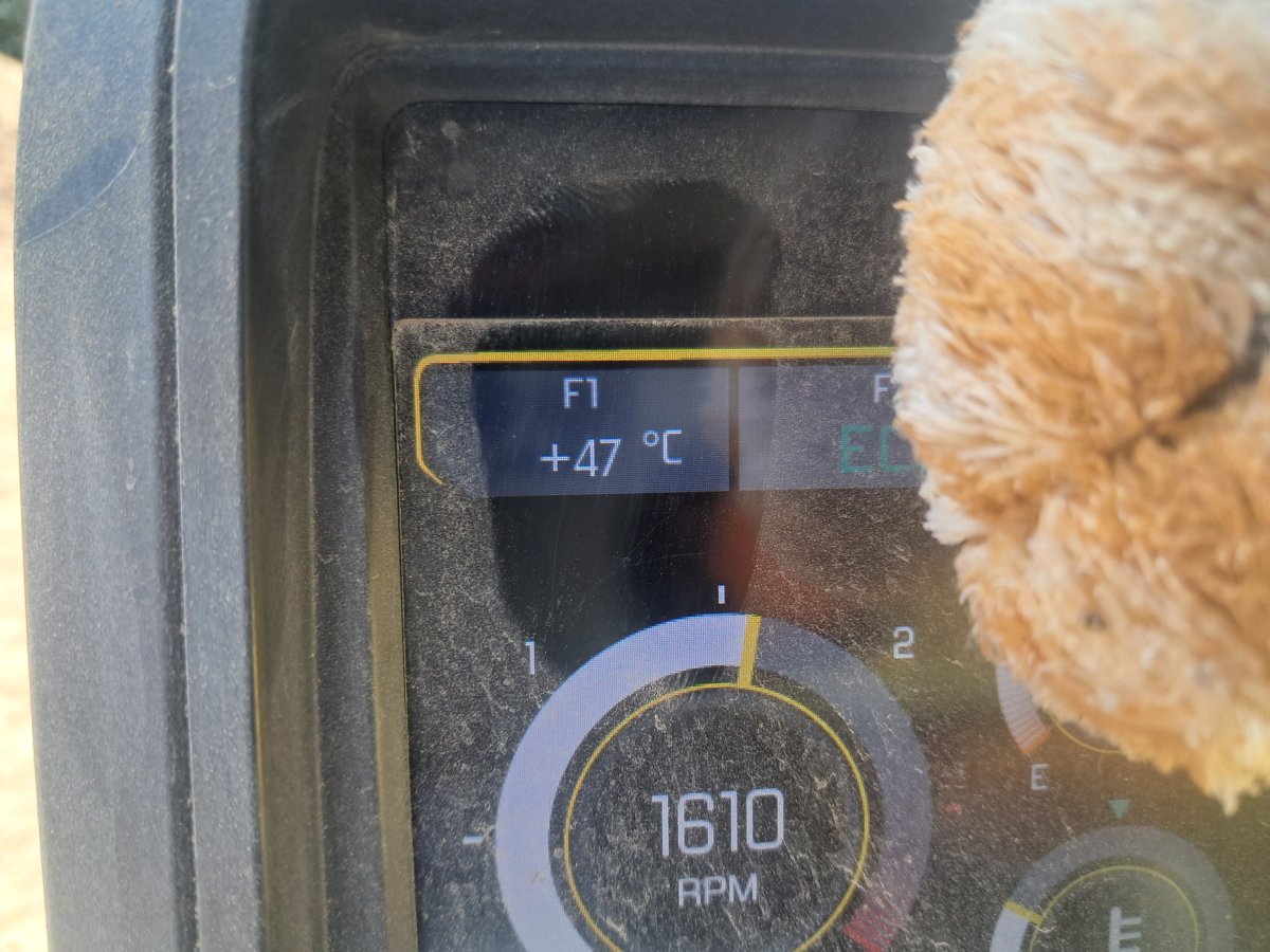 1000025705.jpg