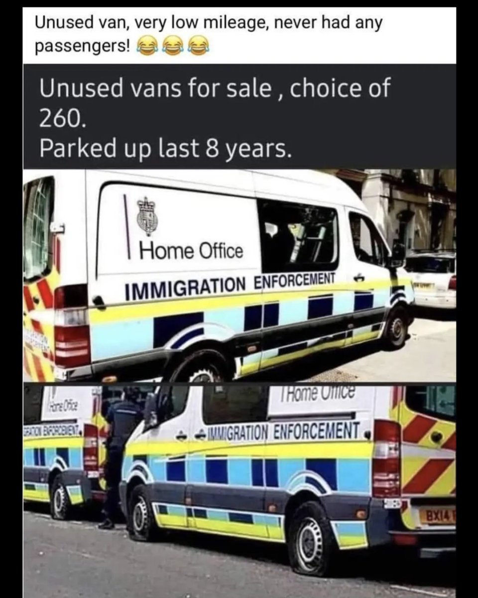 1000032627.jpg