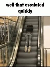 1000107361.jpg