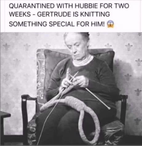 112E7F07-8EF4-430C-91ED-E5E4E3113CCC.jpeg