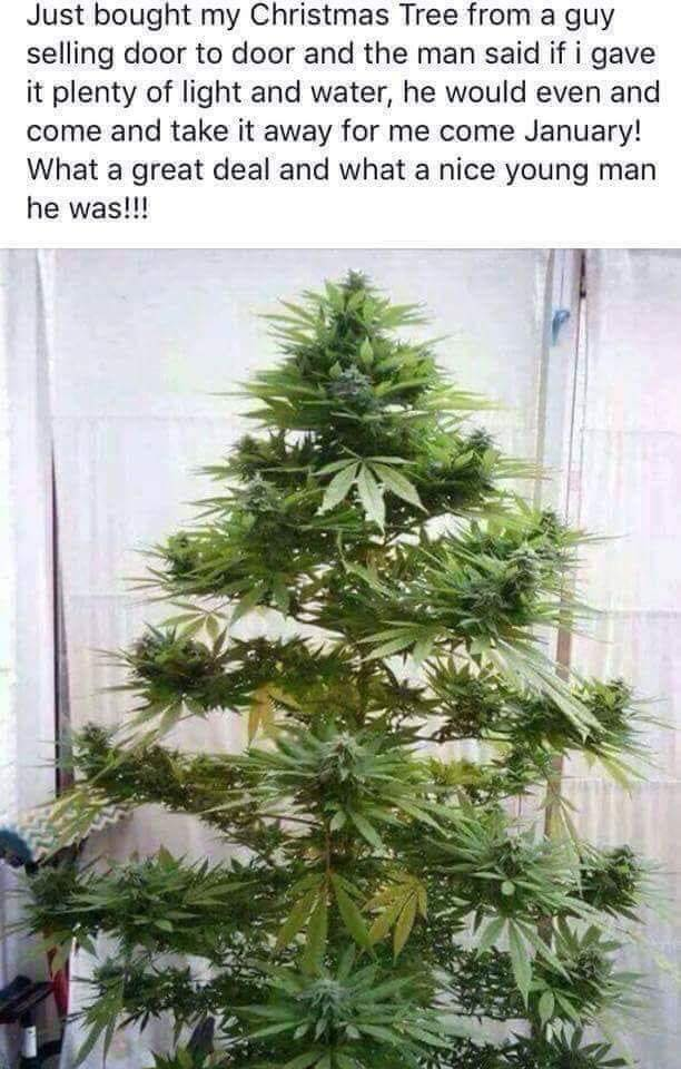 1573260795965.png