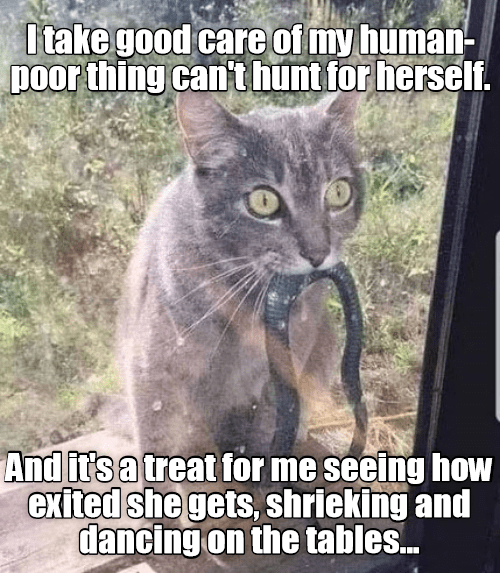 1573862981061.png