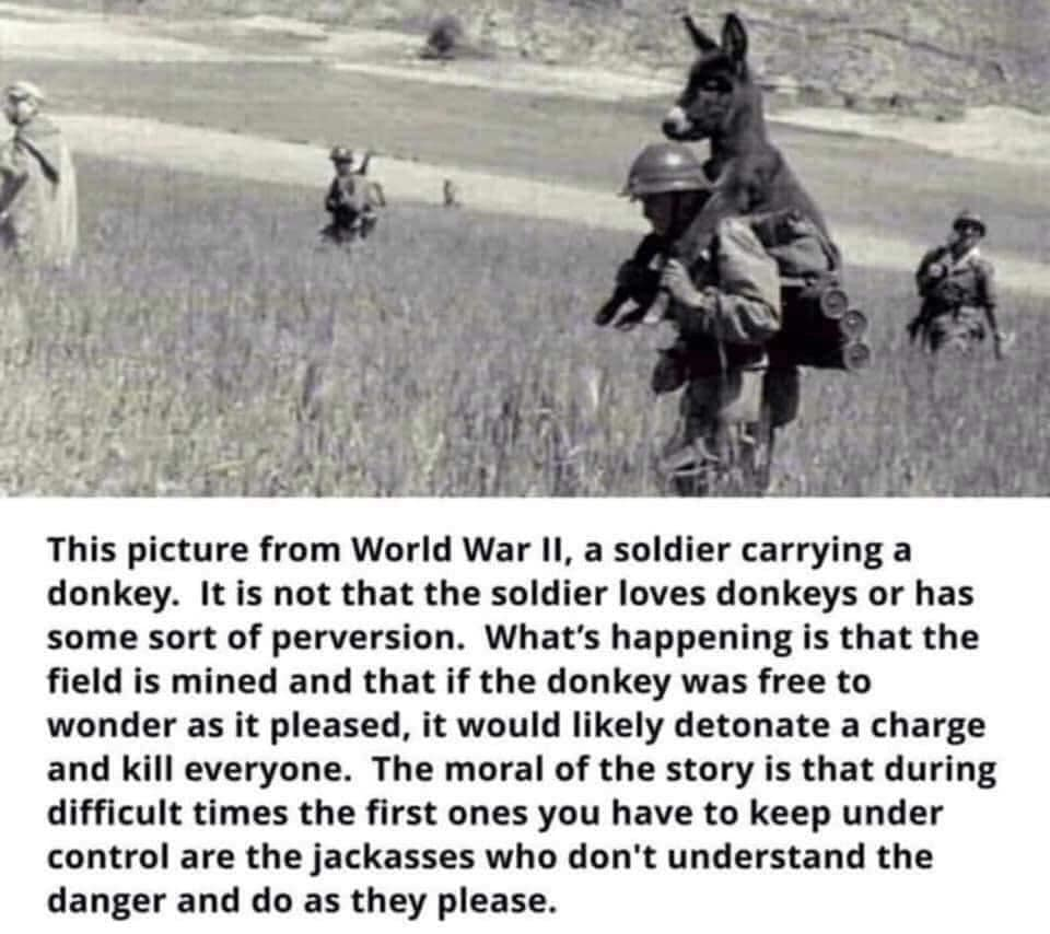 1586474771464.png