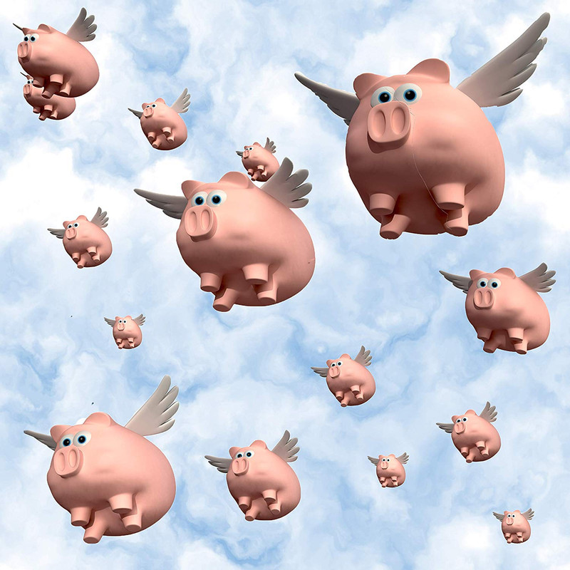 1609805476023.png
