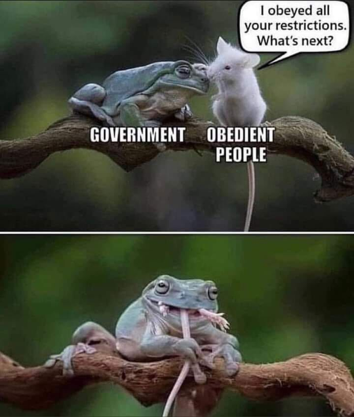 1626815785076.png