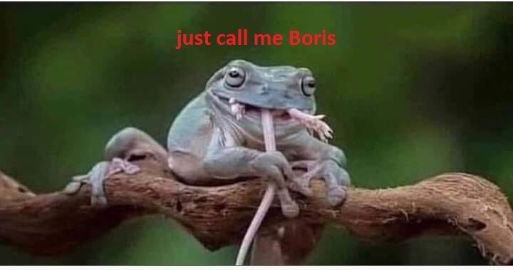 1626816265211.png