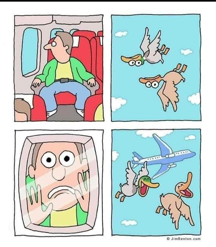1637527007530.png