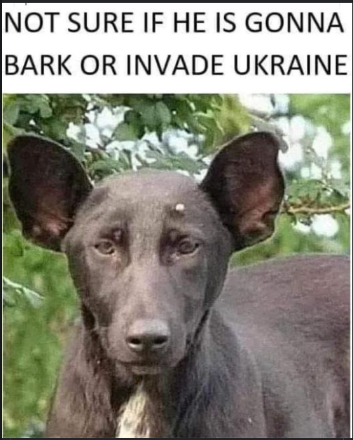 1648425188613.png