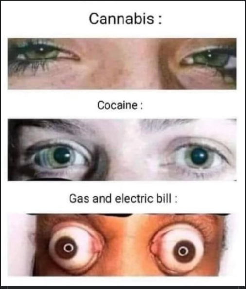 1648425565308.png