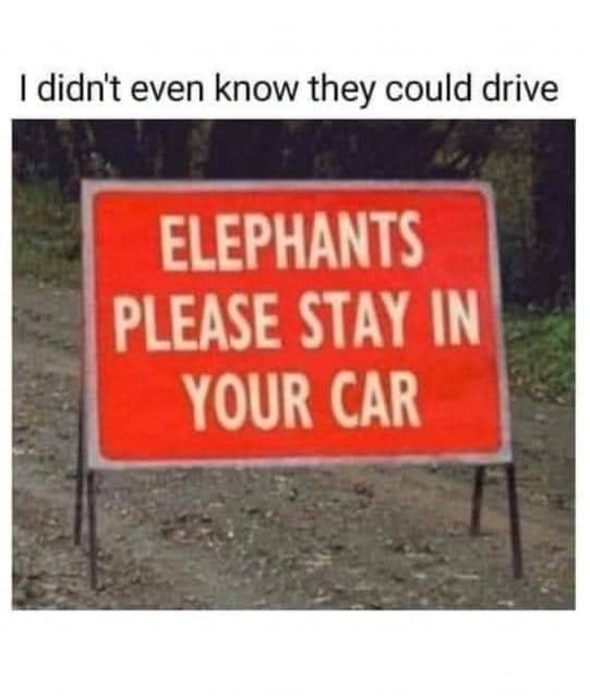1654451167418.png
