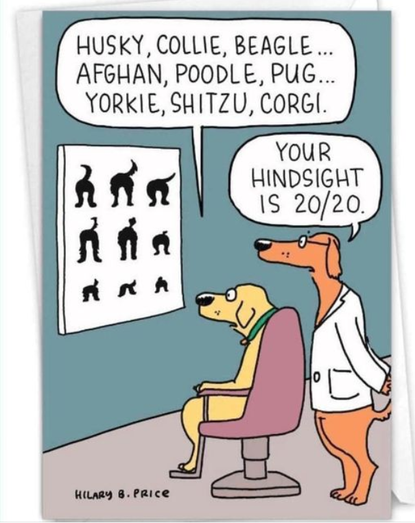 1676113351689.png