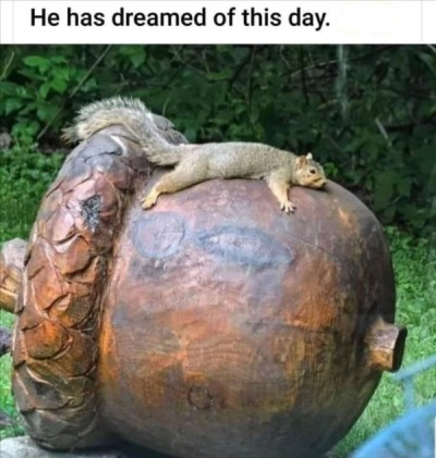 1688253496655.png