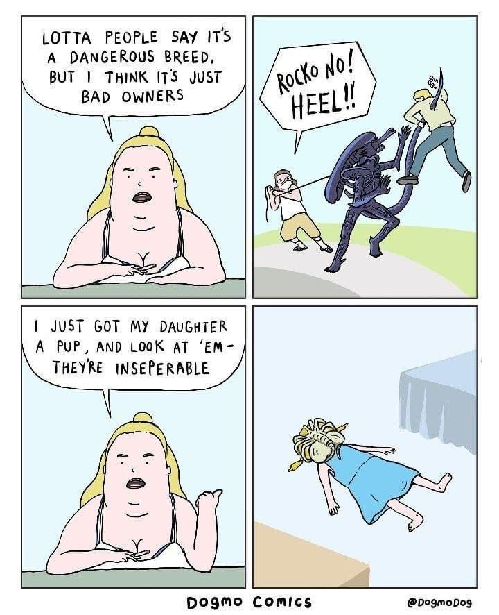 1697197639594.png