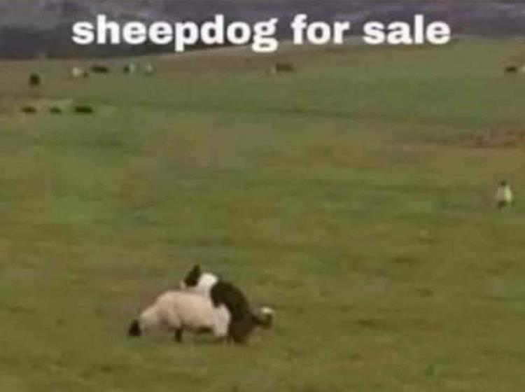 1697725365350.png