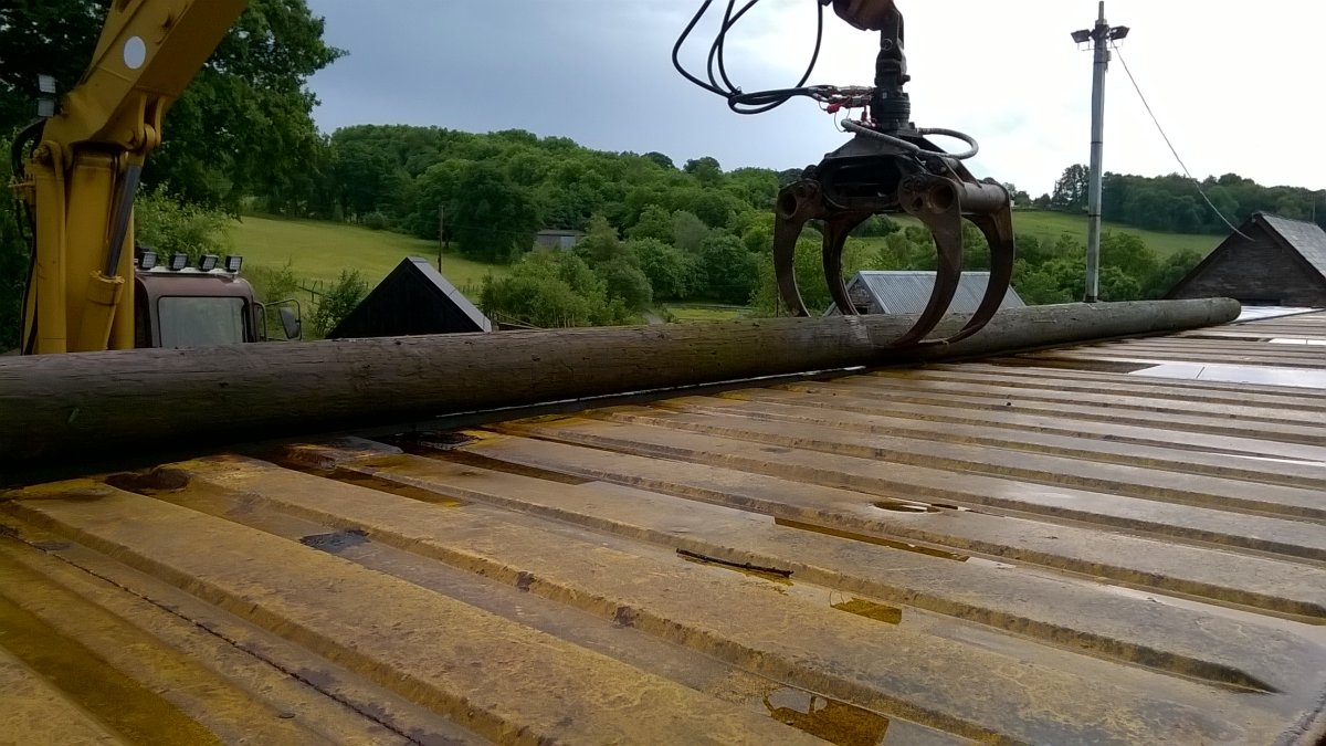 1704583658262.jpeg
