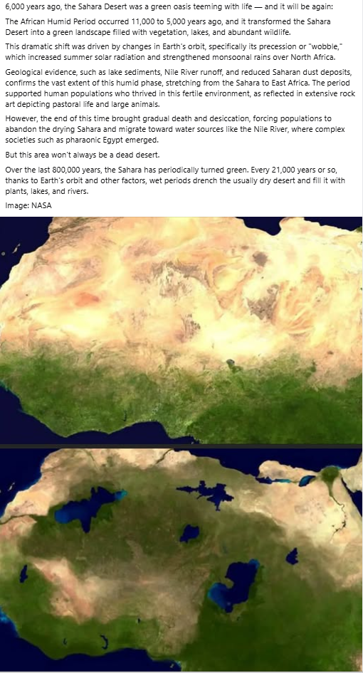 1736109310241.png