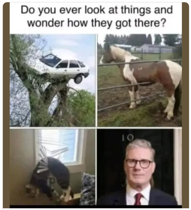 1740488001533.png