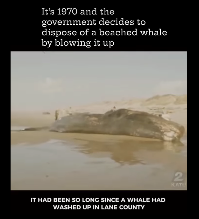 1742668319600.png