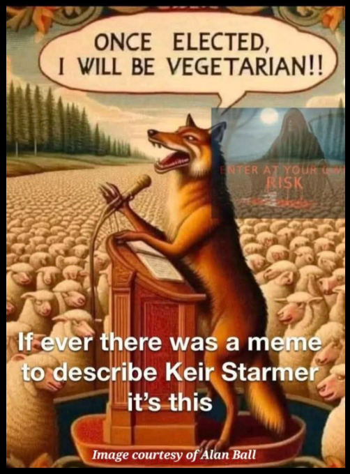 1751531709021.png