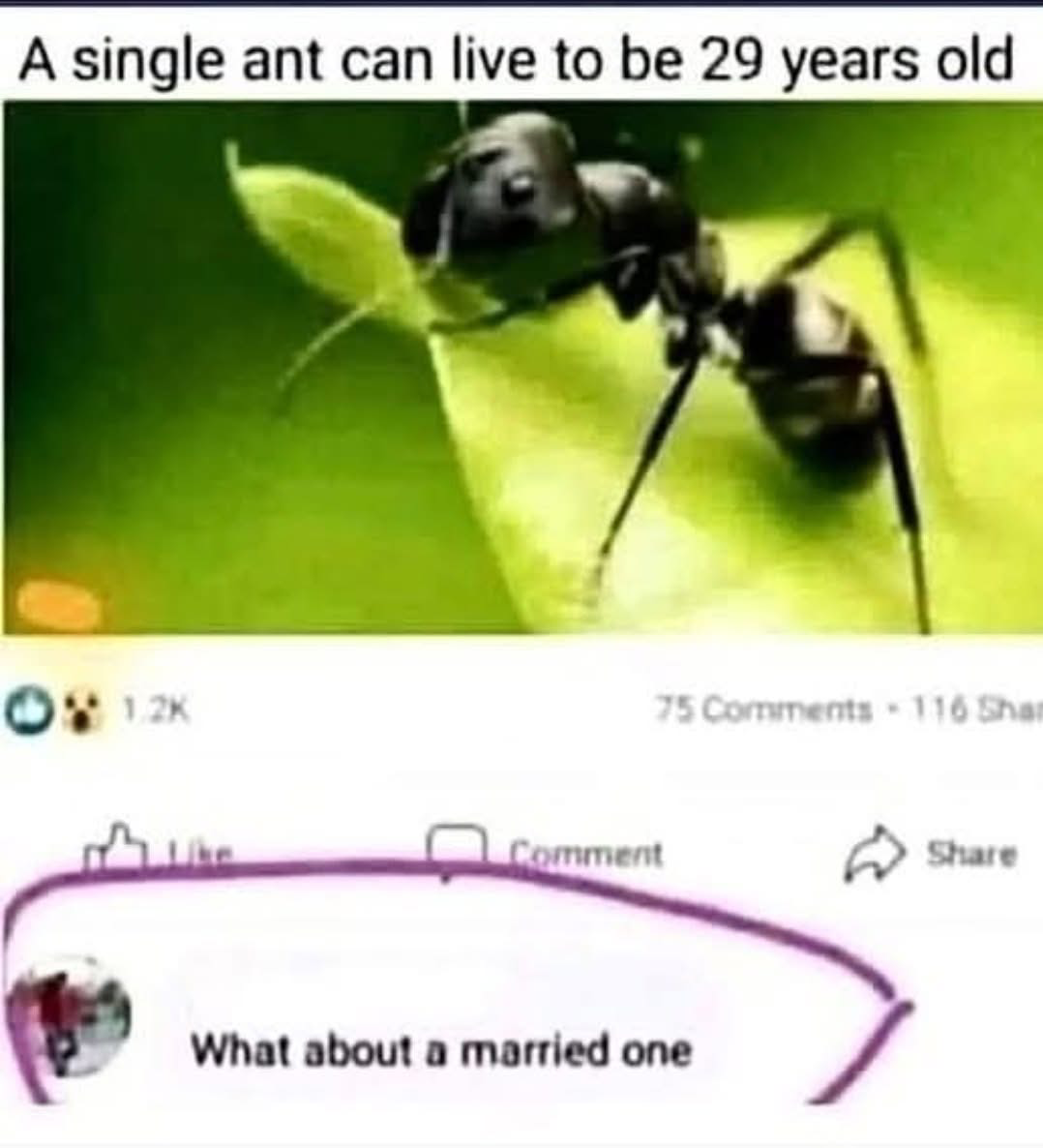 1753102560182.png