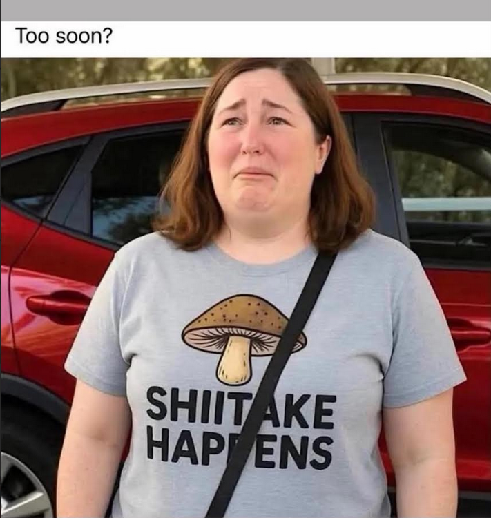 1753181315100.png