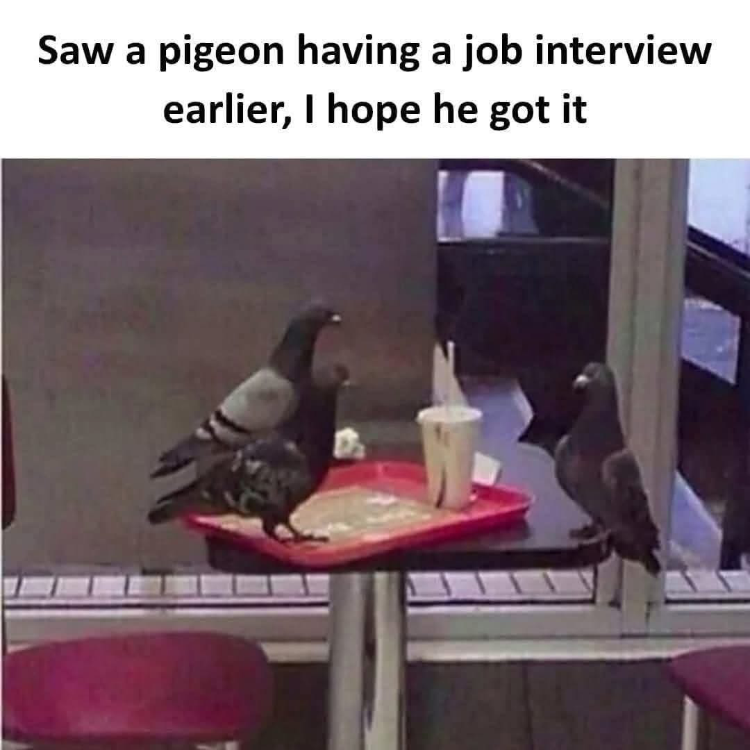 1759394299282.png