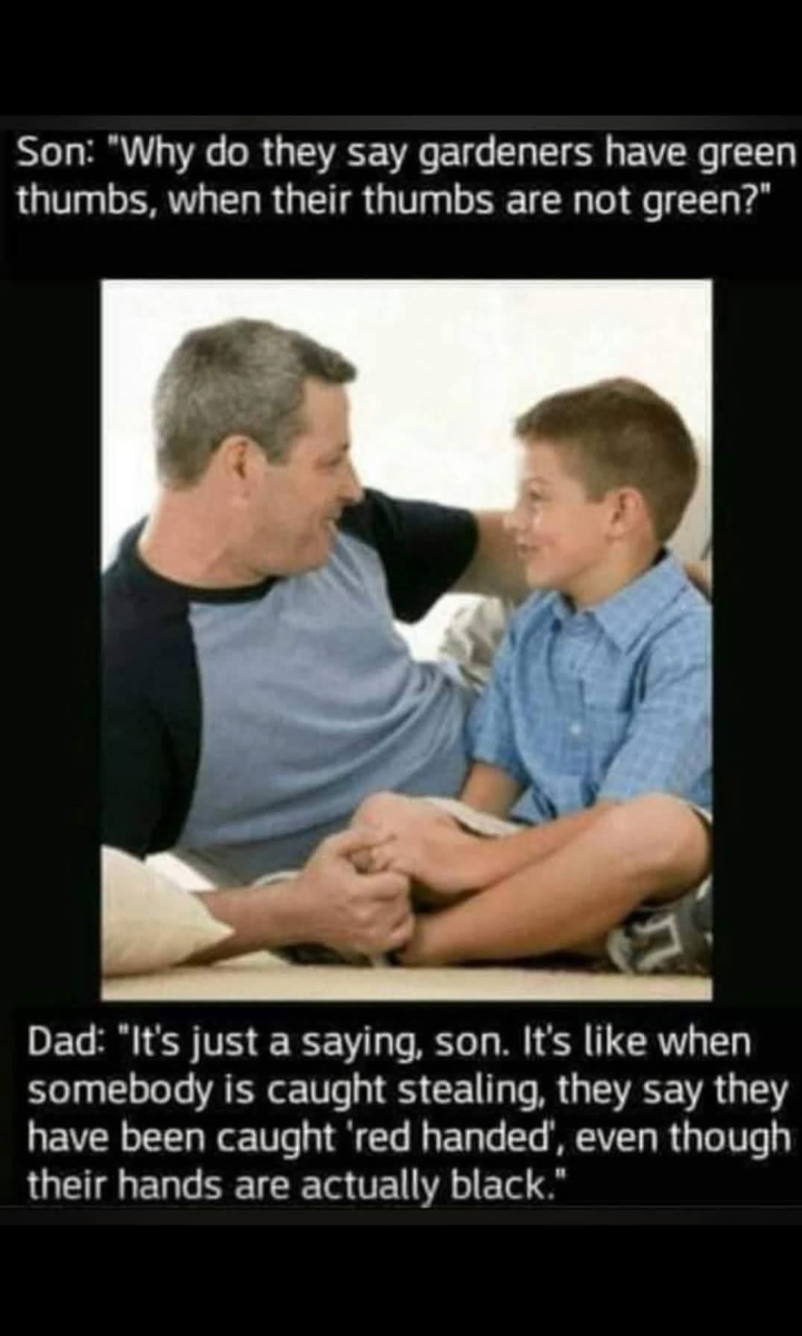 1761150381439.png
