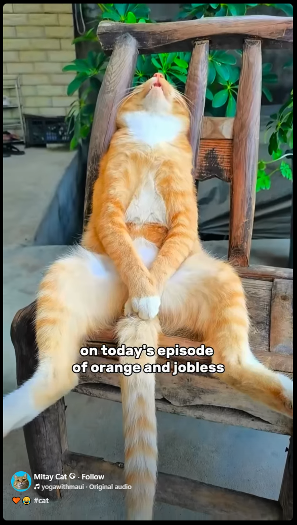 1762275090781.png