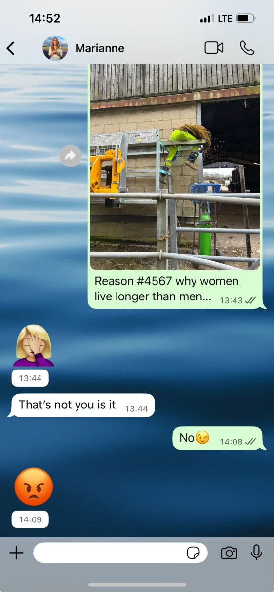 1766501566345.png