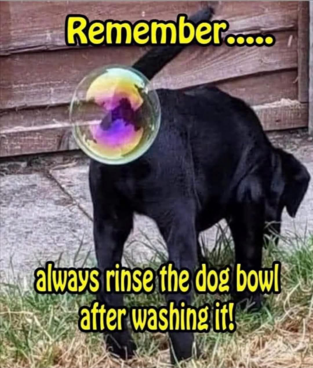 1785310093980.png