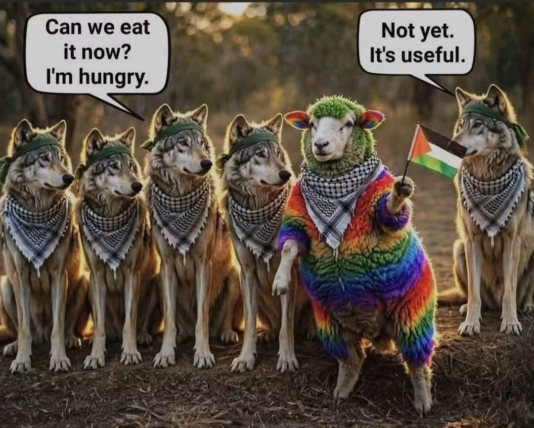 1793253599813.png