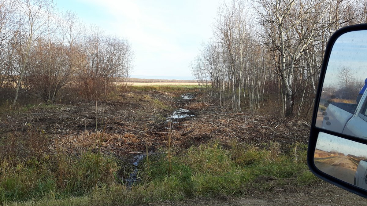 20161024_171550.jpg