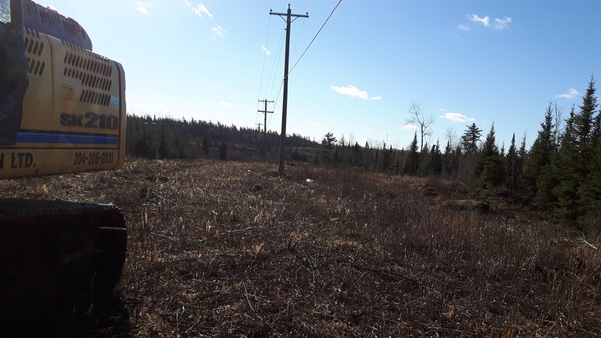 20161115_120633.jpg