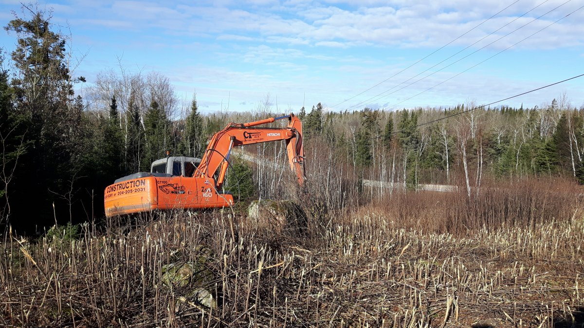 20161115_120637.jpg