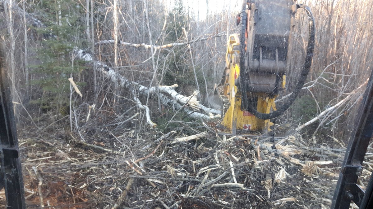 20161115_151620.jpg