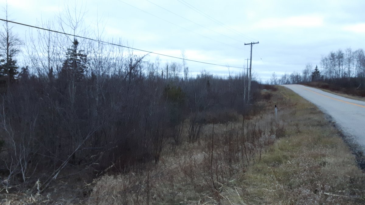20161117_163811.jpg