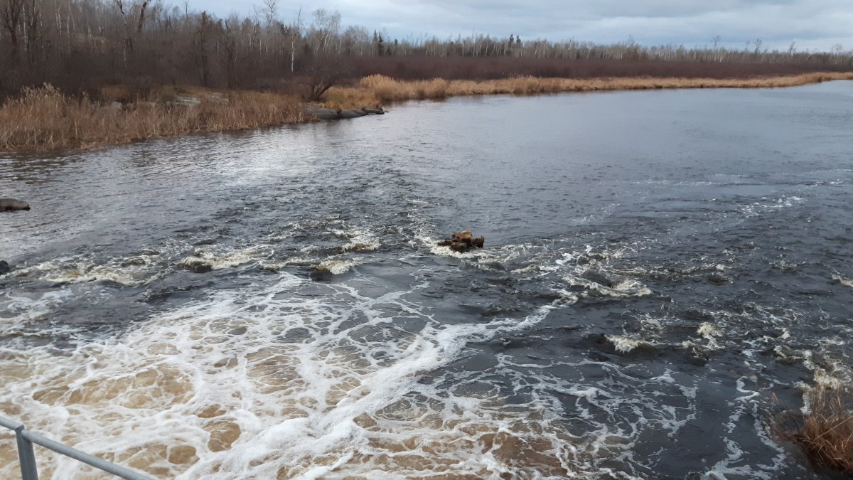 20161118_162554.jpg
