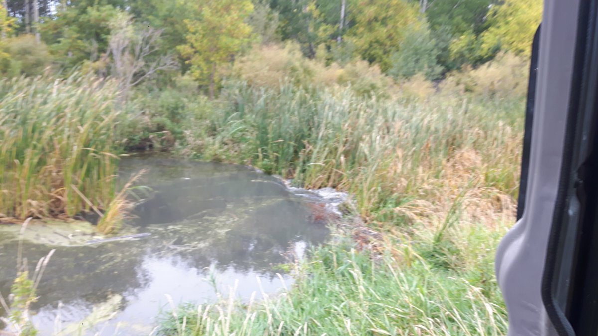 20170914_100428.jpg