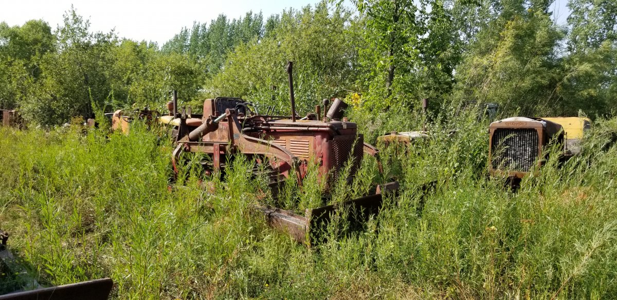 20180822_162114.jpg