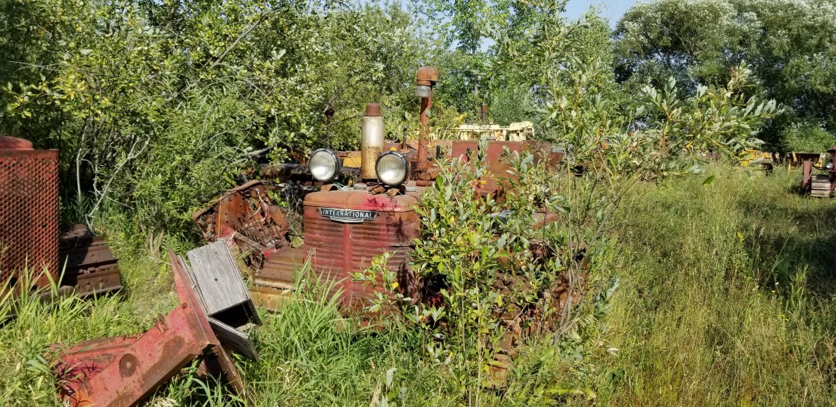 20180822_162300.jpg