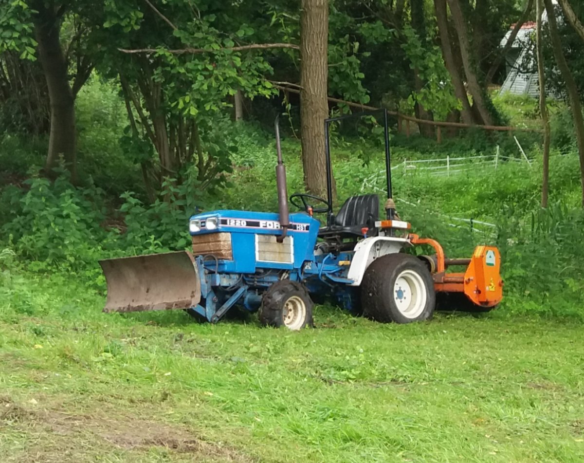 20190713_190222.jpg