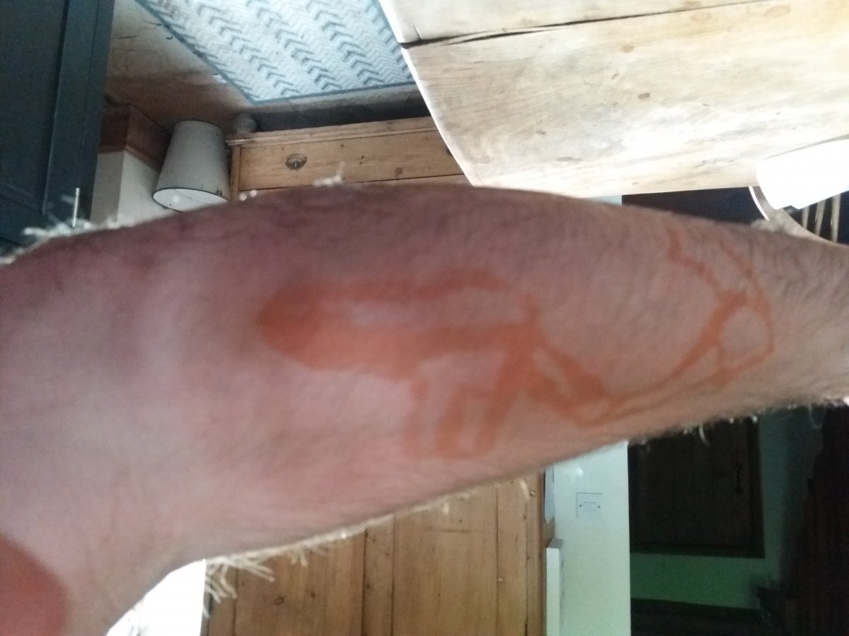 20190804_184059.jpg