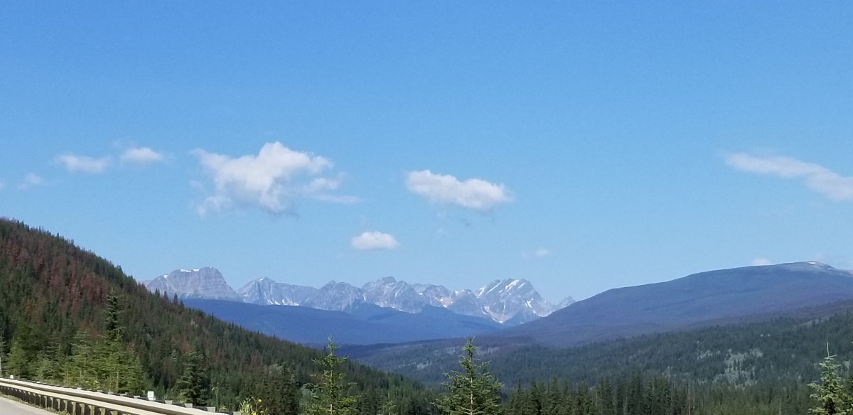 20190807_125111.jpg
